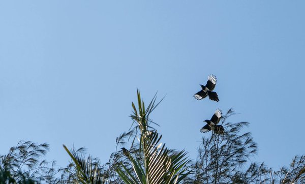 Les bienfaits de l'allaitement pour la santé de la mère et de l'enfant