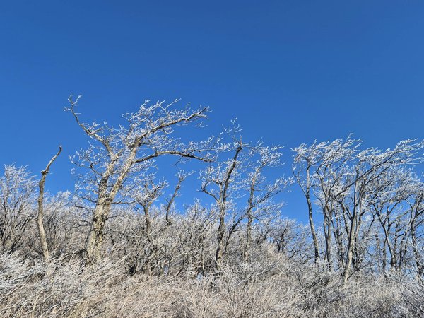 Prise de rendez-vous avec un psychiatre